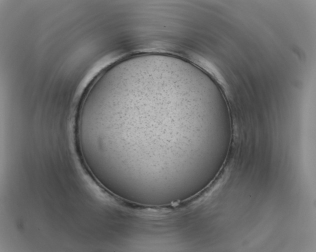 X0000113901138200910081824