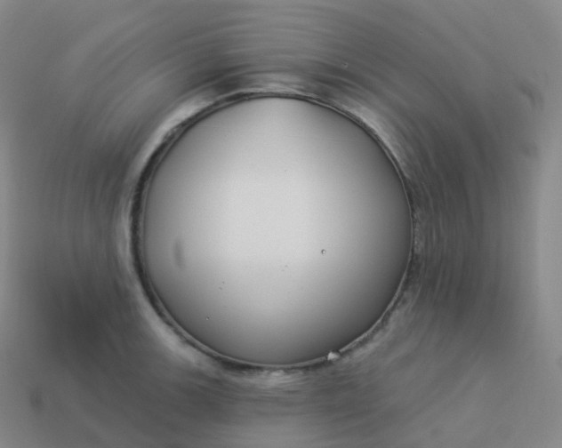 X0000113901139200910081824