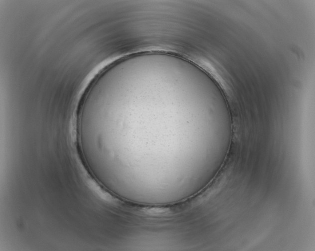 X0000113901140200910081824