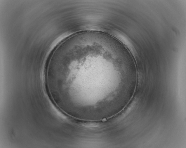 X0000113901141200910081824