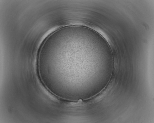 X0000113901142200910081824