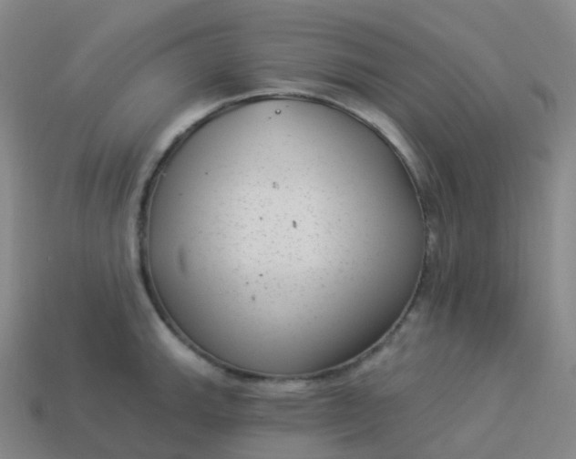 X0000113901143200910081824