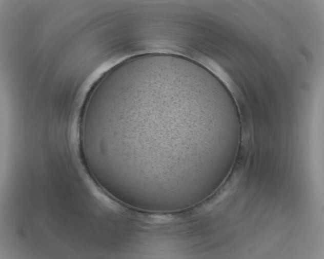 X0000113901144200910081824