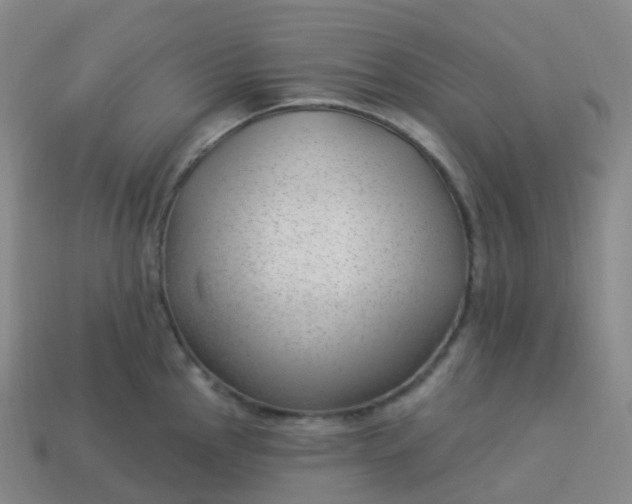 X0000113901145200910081824