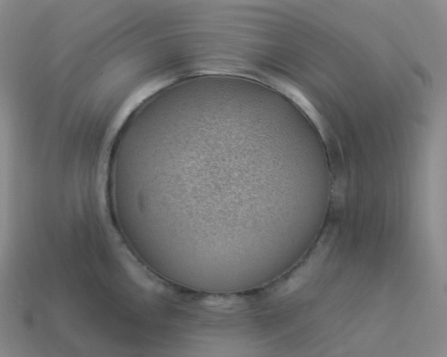 X0000113901146200910081824