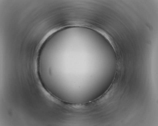 X0000113901147200910081824