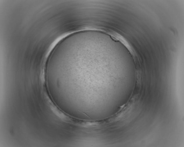 X0000113901148200910081824