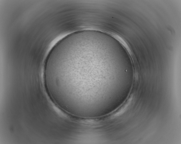 X0000113901149200910081824