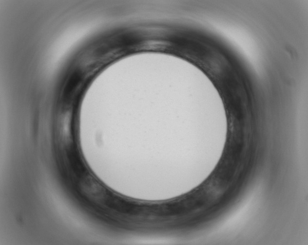 X0000113901150200910081824