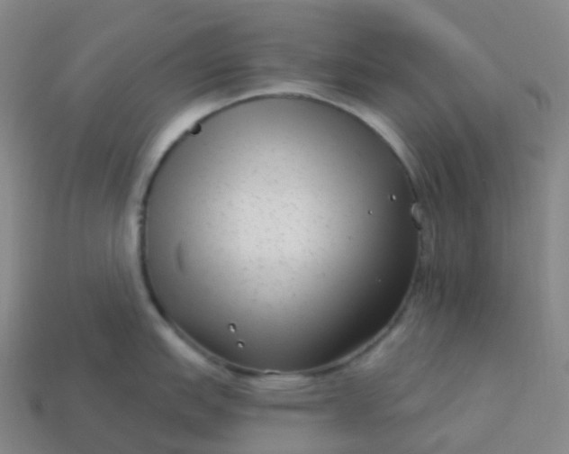 X0000113901151200910081824