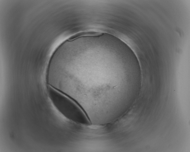 X0000113901152200910081824