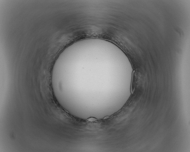 X0000113901153200910081823