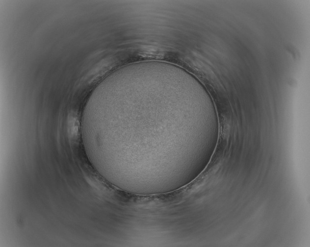 X0000113901154200910081823