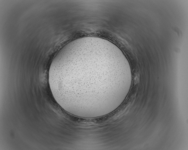 X0000113901156200910081823