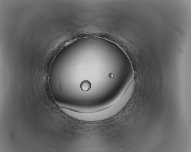 X0000113901157200910081823