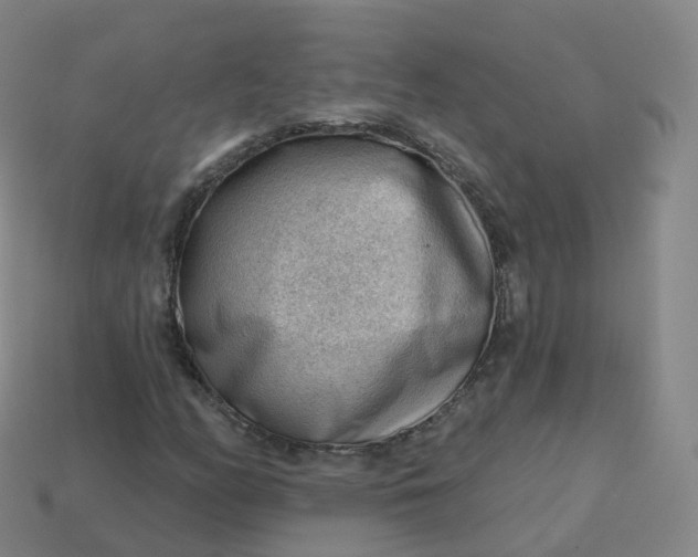 X0000113901158200910081823