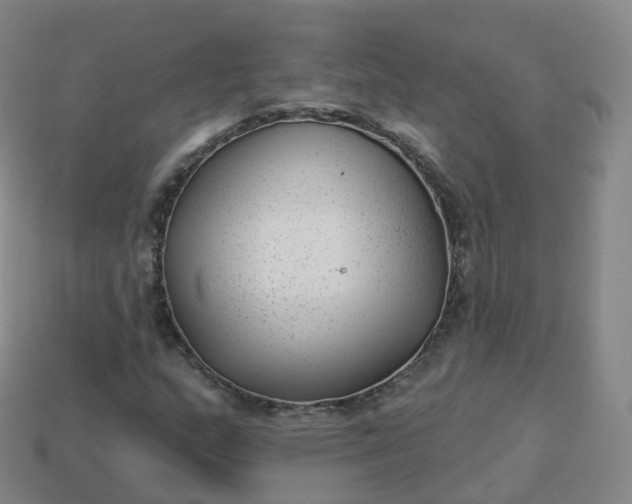 X0000113901159200910081823