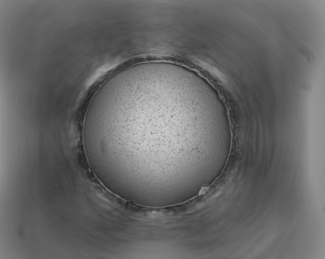 X0000113901160200910081823