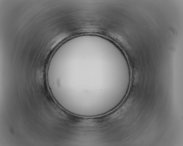 X0000113901162200910081823