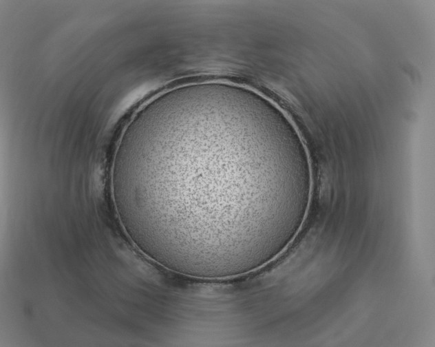 X0000113901163200910081823