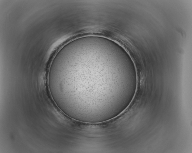 X0000113901164200910081823