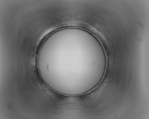 X0000113901166200910081823