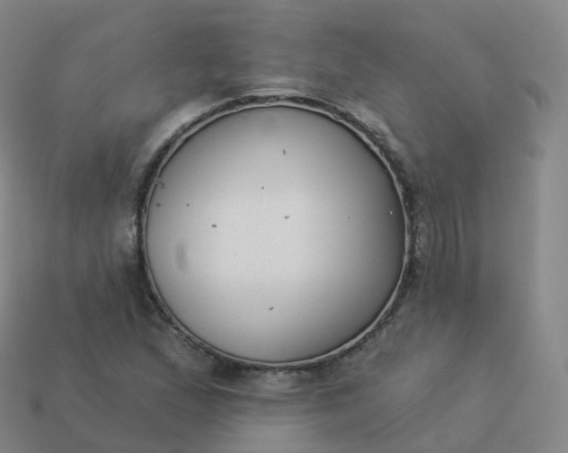 X0000113901167200910081823