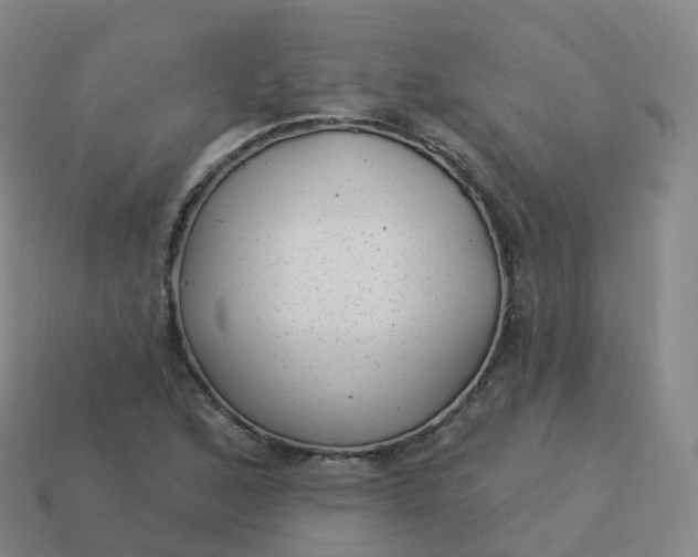 X0000113901168200910081823