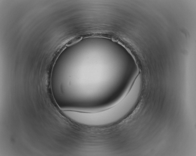 X0000113901169200910081823