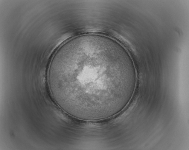 X0000113901170200910081823