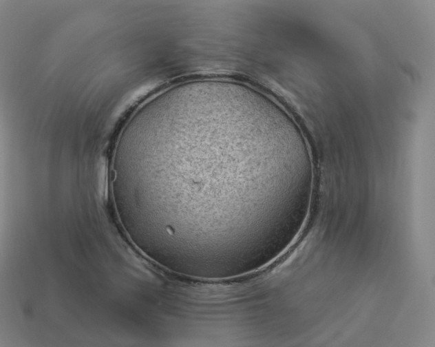 X0000113901171200910081823