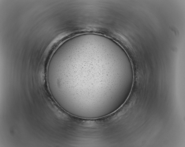 X0000113901172200910081823