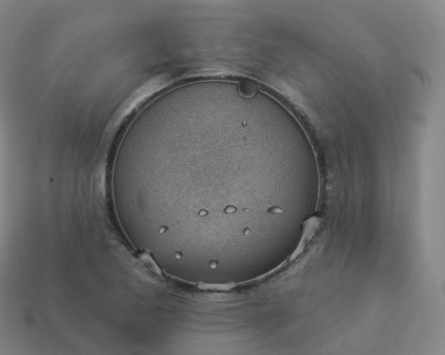 X0000113901173200910081823