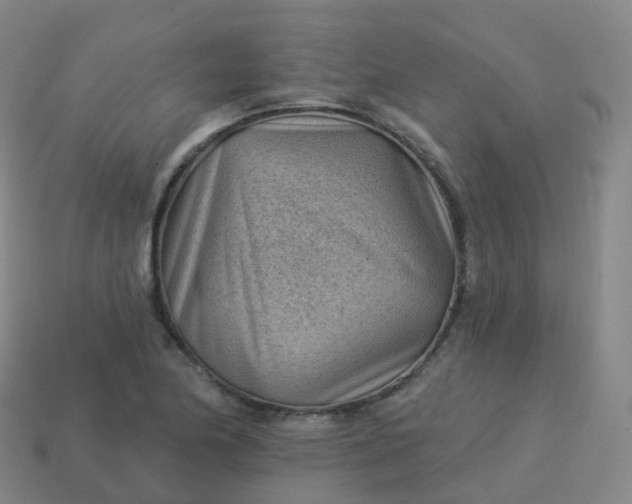 X0000113901174200910081823