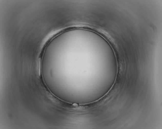 X0000113901175200910081823