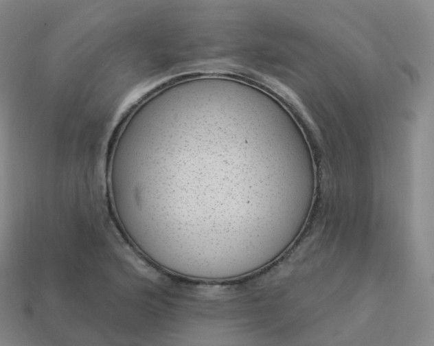 X0000113901176200910081823