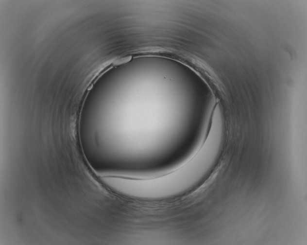 X0000113901177200910081823