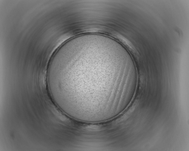 X0000113901178200910081823