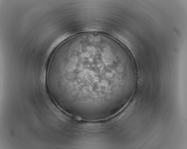 X0000113901179200910081823