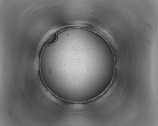 X0000113901180200910081823