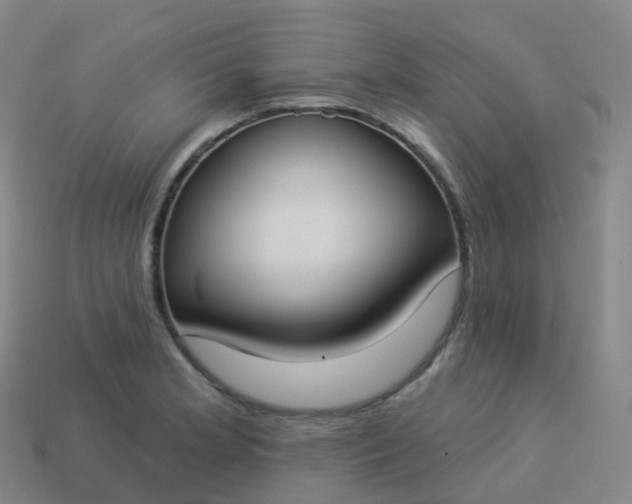 X0000113901181200910081823