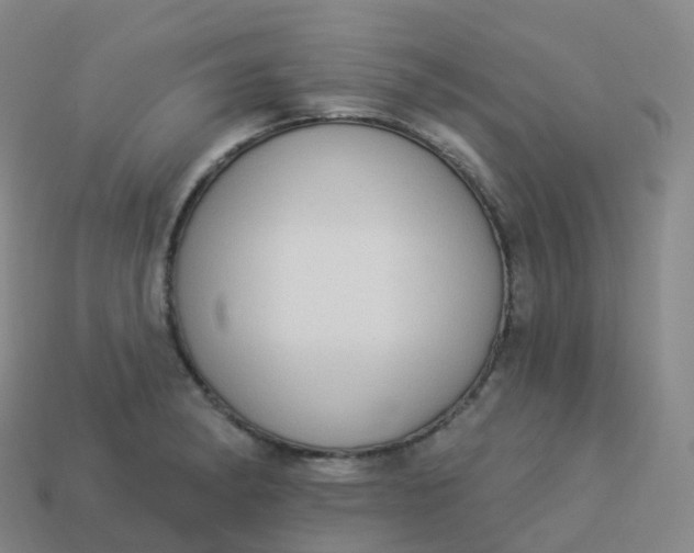 X0000113901182200910081823