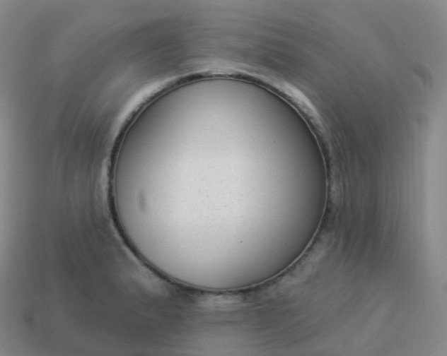 X0000113901183200910081823