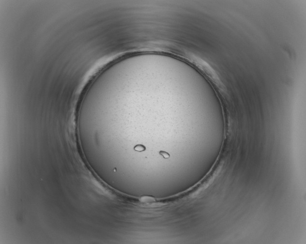 X0000113901184200910081823