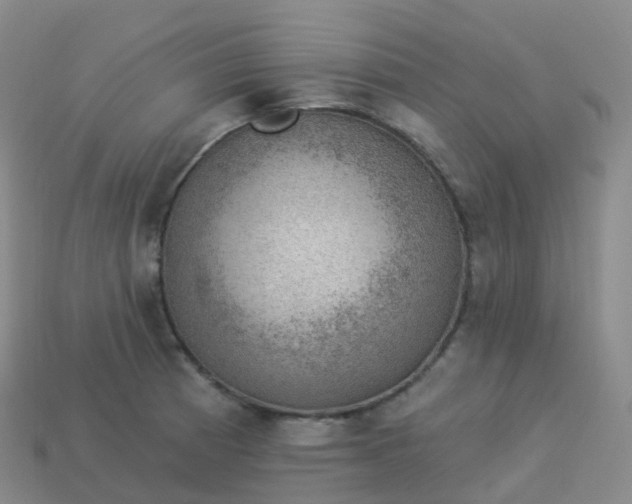 X0000113901185200910081823