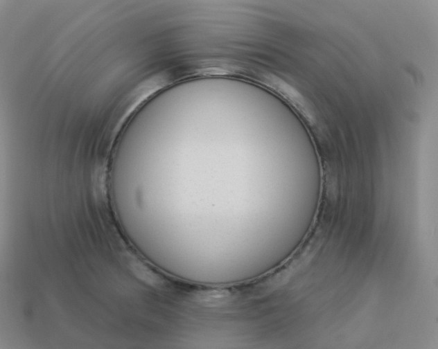 X0000113901186200910081823