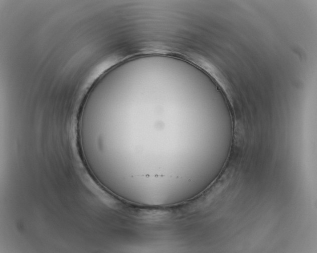 X0000113901187200910081823