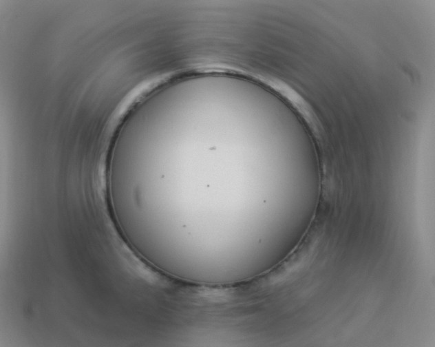 X0000113901191200910081823