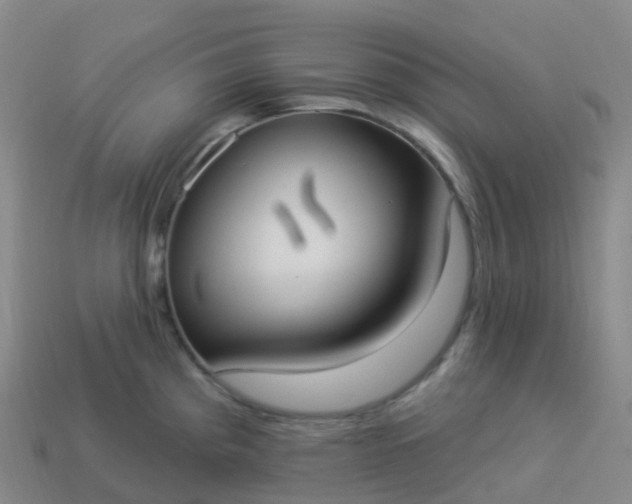 X0000113901193200910081823