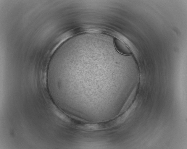 X0000113901194200910081823